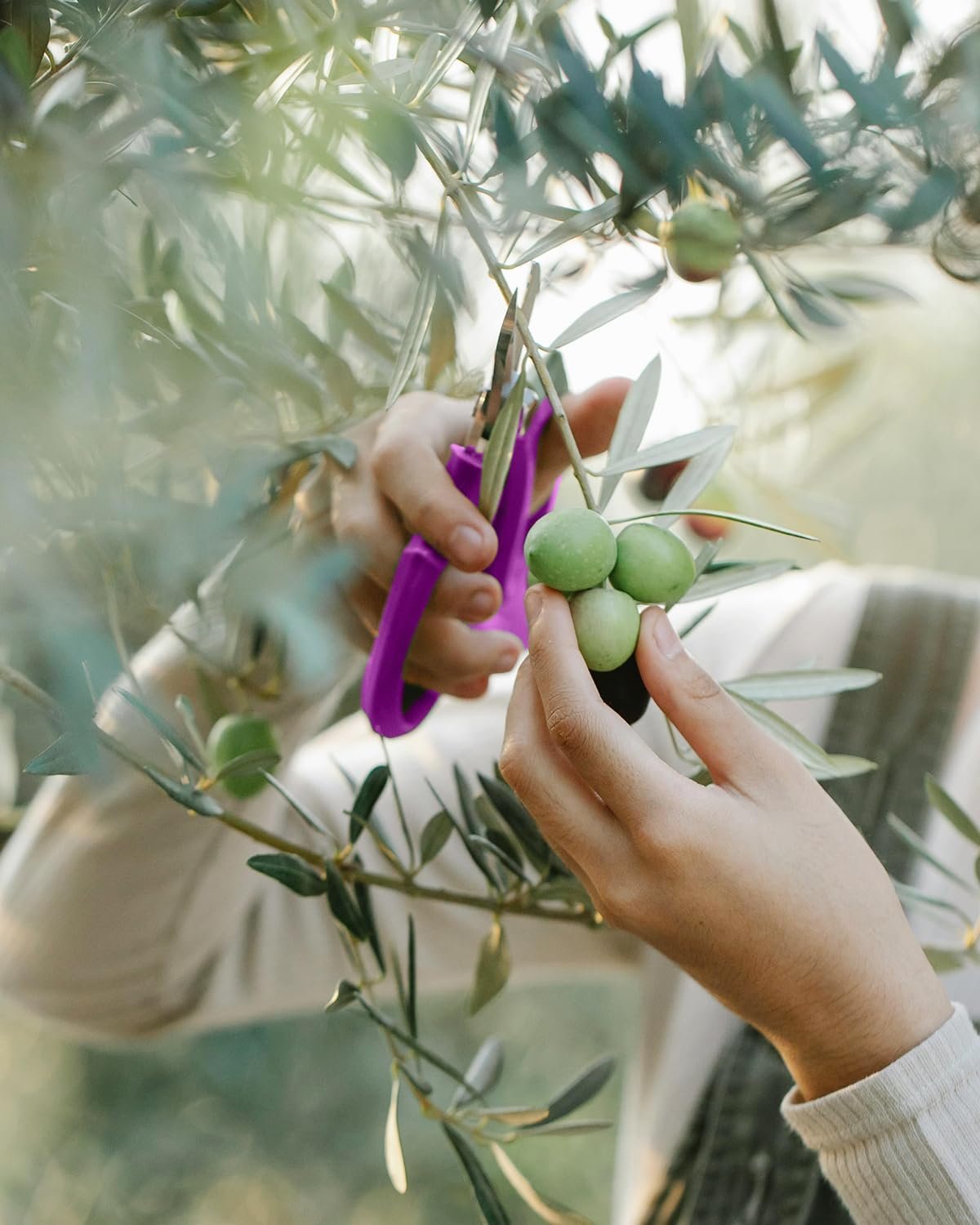 Community More Stainless Steel Flower Scissors in Mixed Colors additional product photo